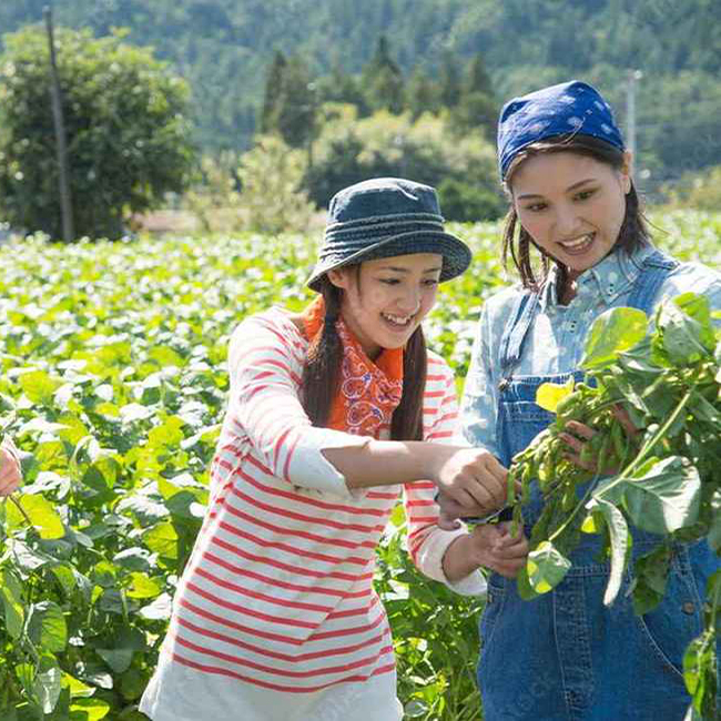栃木県小山市の登録支援機関業務